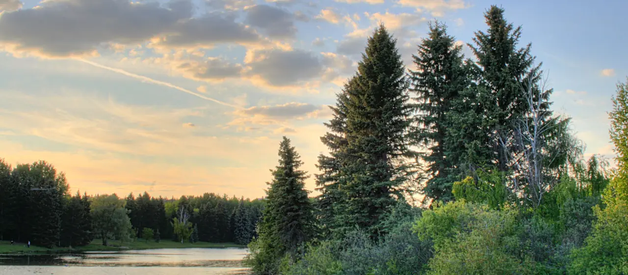 Calm lake at William Hawrelak Park in Edmonton with tall spruce trees under a golden evening sky